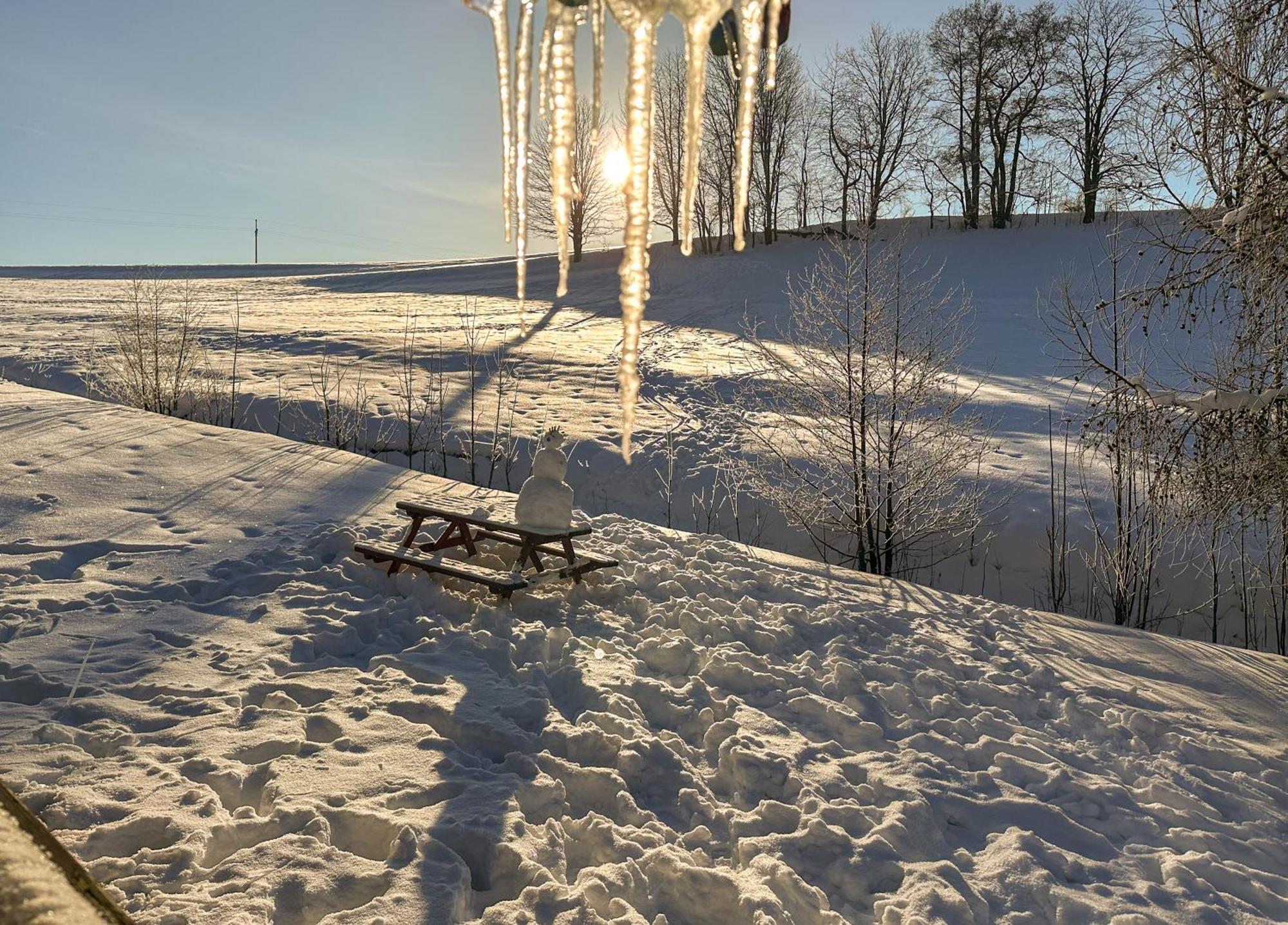 Villa Čtyřicítka na Šťastném kopci Černý Dŭl Esterno foto